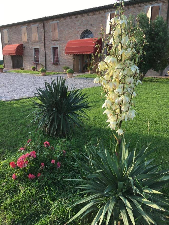 Il Frattiero B&B Voghenza Kültér fotó